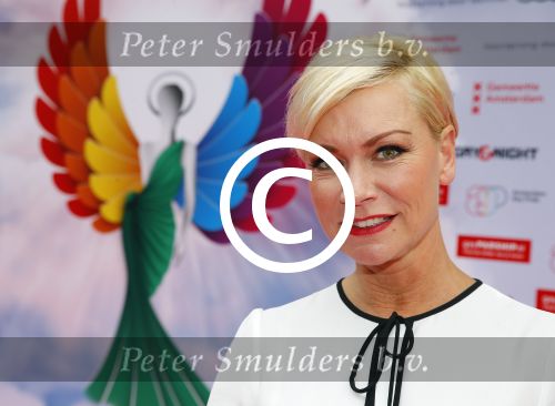 Amsterdam 29 juni 2015
Rainbow awards in Tuschinski.