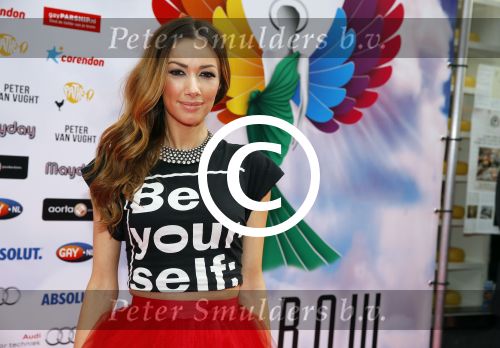 Amsterdam 29 juni 2015
Rainbow awards in Tuschinski.