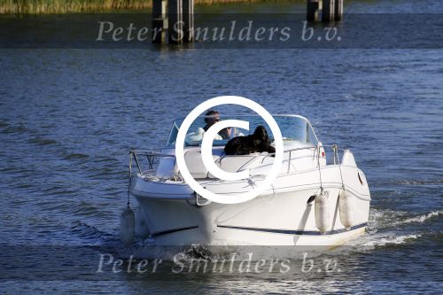 Weesp 16 juni 2015
Jurgen Smit en Milika Peterzon en hond romatisch op de vecht aan het varen met hun boot.
