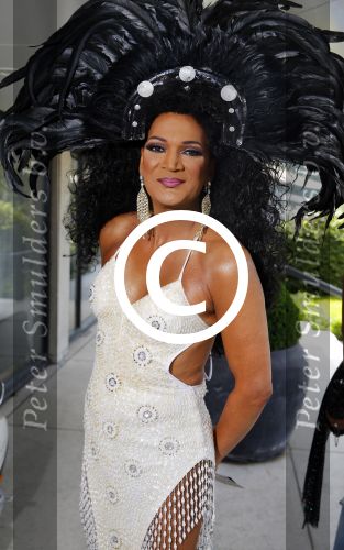 Scheveningen 15 juni 2015
Societylunch 2015 . Nederlandse Diana Ross