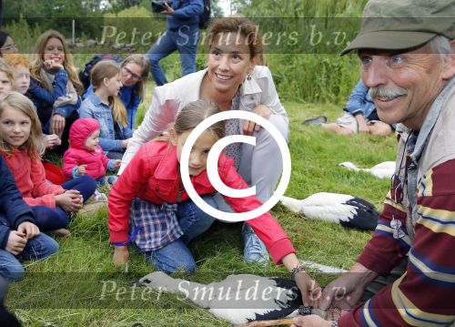 Amsterdam 18 juni 2015
Prinses Marilene en dochter Fee zijn bij het omdoen van de ringen van 3 net geboren ooievaars in het Vondelpark.