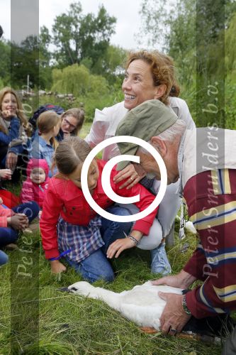 Amsterdam 18 juni 2015
Prinses Marilene en dochter Fee zijn bij het omdoen van de ringen van 3 net geboren ooievaars in het Vondelpark.
