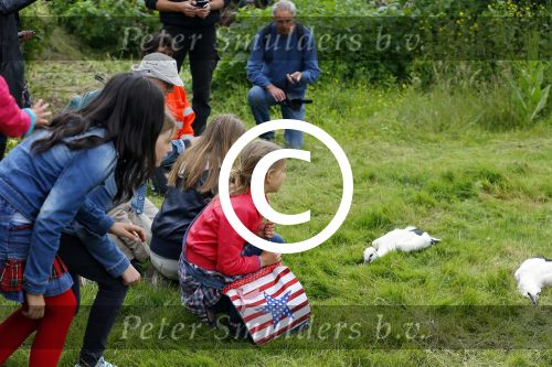 Amsterdam 18 juni 2015
Prinses Marilene en dochter Fee zijn bij het omdoen van de ringen van 3 net geboren ooievaars in het Vondelpark.