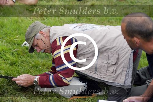Amsterdam 18 juni 2015
Prinses Marilene en dochter Fee zijn bij het omdoen van de ringen van 3 net geboren ooievaars in het Vondelpark.
