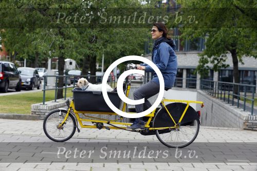Amsterdam 20 juni 2015  
Susan Visser met hondje in bakfiets.