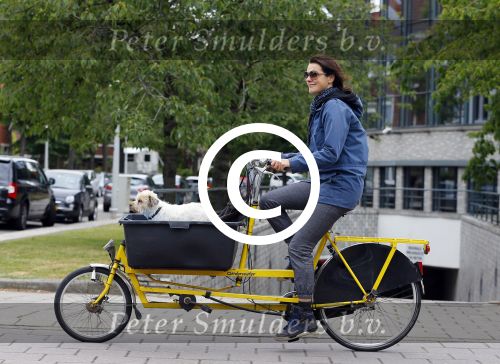 Amsterdam 20 juni 2015  
Susan Visser met hondje in bakfiets.