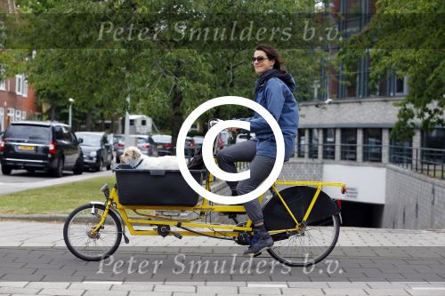 Amsterdam 20 juni 2015  
Susan Visser met hondje in bakfiets.