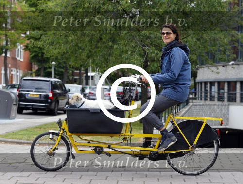 Amsterdam 20 juni 2015  
Susan Visser met hondje in bakfiets.