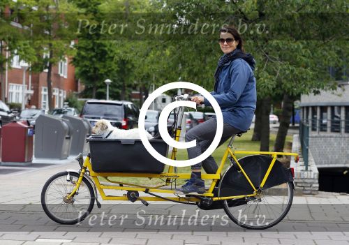 Amsterdam 20 juni 2015  
Susan Visser met hondje in bakfiets.