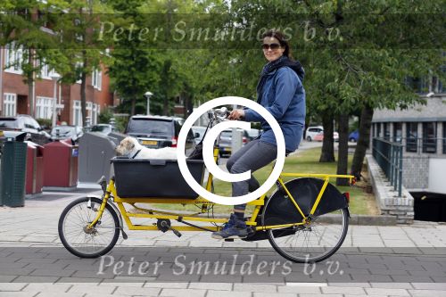 Amsterdam 20 juni 2015  
Susan Visser met hondje in bakfiets.