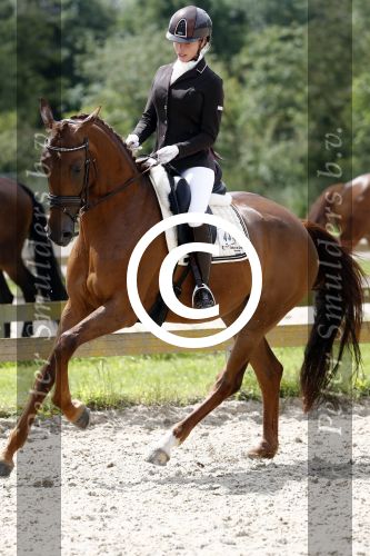 Aerdenhout 2 juli 2016
Esther de Graaf doet mee aan concours voor 5 en 6 jarigen in Aerdenhout.