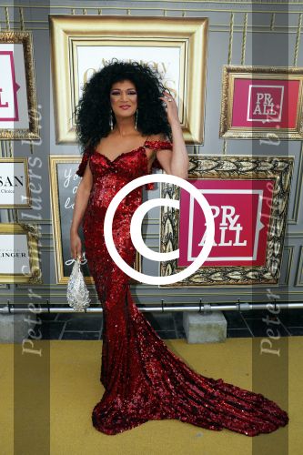 Amsterdam 13 juli 2016  
Premiere absolutely fabulous in Tuschinski. nederlandse diana Ross