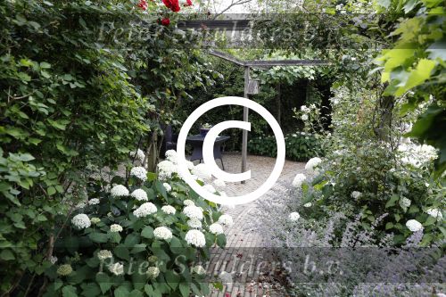 Hendrik ido Ambacht 27 juni 2017
Nieuwe huis Patricia Paay en Robbert Hinfelaar