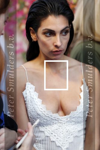 Amsterdam 17 juli 2018
Premiere Mamma mia in Tuschinski. Anna Nooshin