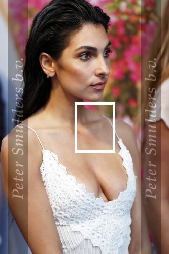 Amsterdam 17 juli 2018
Premiere Mamma mia in Tuschinski. Anna Nooshin