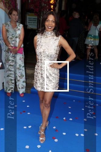Amsterdam 17 juli 2018
Premiere Mamma mia in Tuschinski.