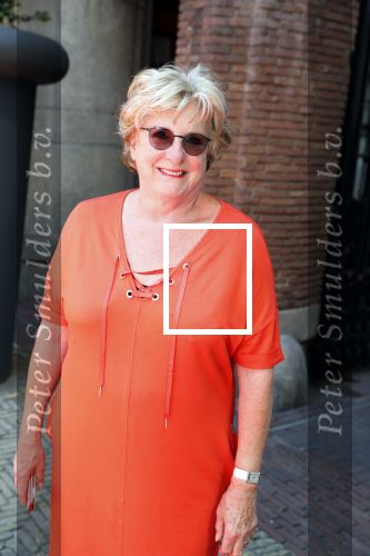 Amsterdam 15 juli 2018
Frits Huffnagel feestje voor zijn 50e verjaardag bij hotel the Grand. Catharine Keyl