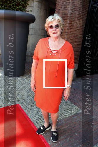 Amsterdam 15 juli 2018
Frits Huffnagel feestje voor zijn 50e verjaardag bij hotel the Grand. Catharine Keyl