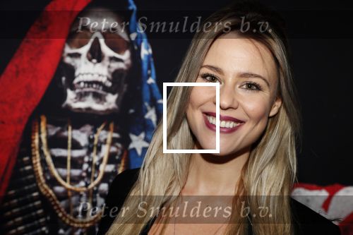 Amsterdam 3 juli 2018
Premiere Sicario in pathe Arena. Celine Huijsmans
