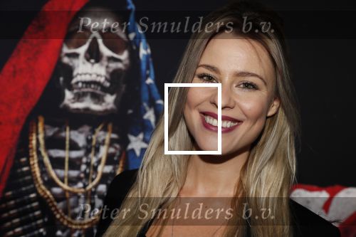 Amsterdam 3 juli 2018
Premiere Sicario in pathe Arena. Celine Huijsmans