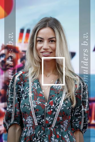 Amsterdam 15 juli 2018
De feestelijke Nederlandse premiÃ¨re van 
HOTEL TRANSSYLVANIÃ‹ 3 in PathÃ© Arena te Amsterdam. De Nederlandse stemacteurs Charly Luske, Fernando Halman, Ferry Doedens, Ilse Warringa, Tony Neef zijn aanwezig . Christie Bokma kwam met haar zoon