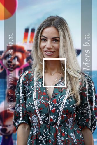 Amsterdam 15 juli 2018
De feestelijke Nederlandse premiÃ¨re van 
HOTEL TRANSSYLVANIÃ‹ 3 in PathÃ© Arena te Amsterdam. De Nederlandse stemacteurs Charly Luske, Fernando Halman, Ferry Doedens, Ilse Warringa, Tony Neef zijn aanwezig . Christie Bokma kwam met haar zoon