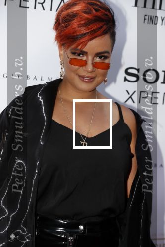 Amsterdam 10 juli 2018
Uitreiking leading ladies awards in hotel the Grand. Eva Simons