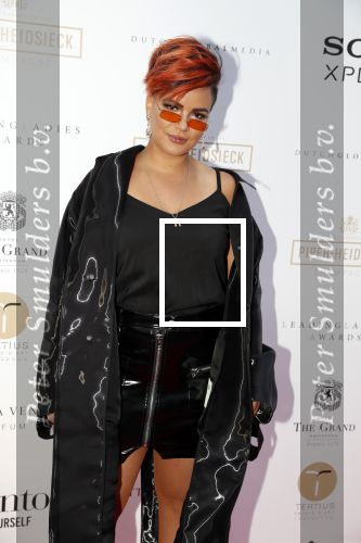 Amsterdam 10 juli 2018
Uitreiking leading ladies awards in hotel the Grand. Eva Simons