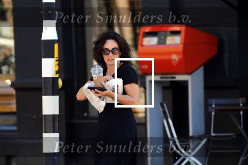 Amsterdam 1 juli 2018
Femke Halsema doet boodschappen en wandelt met haar hond.