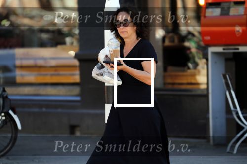 Amsterdam 1 juli 2018
Femke Halsema doet boodschappen en wandelt met haar hond.