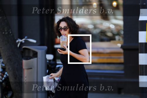 Amsterdam 1 juli 2018
Femke Halsema doet boodschappen en wandelt met haar hond.