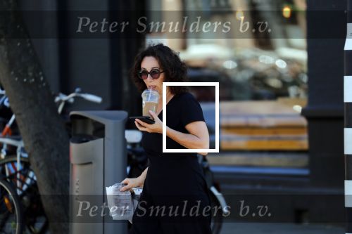 Amsterdam 1 juli 2018
Femke Halsema doet boodschappen en wandelt met haar hond.