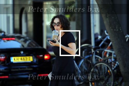 Amsterdam 1 juli 2018
Femke Halsema doet boodschappen en wandelt met haar hond.