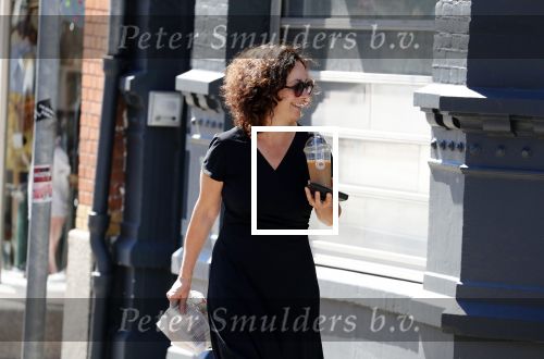 Amsterdam 1 juli 2018
Femke Halsema doet boodschappen en wandelt met haar hond.