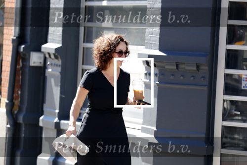 Amsterdam 1 juli 2018
Femke Halsema doet boodschappen en wandelt met haar hond.