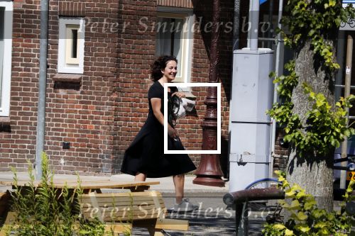 Amsterdam 1 juli 2018
Femke Halsema doet boodschappen en wandelt met haar hond.