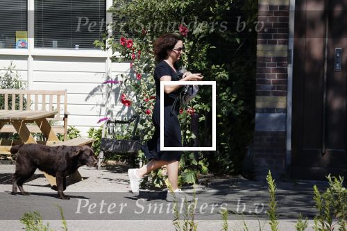 Amsterdam 1 juli 2018
Femke Halsema doet boodschappen en wandelt met haar hond.