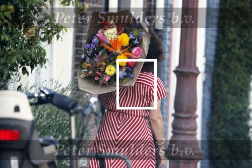 Amsterdam 28 juni 2018
Femke Halsema krijgt bloemen omdat ze de nieuwe burgemeester van Amsterdam wordt.