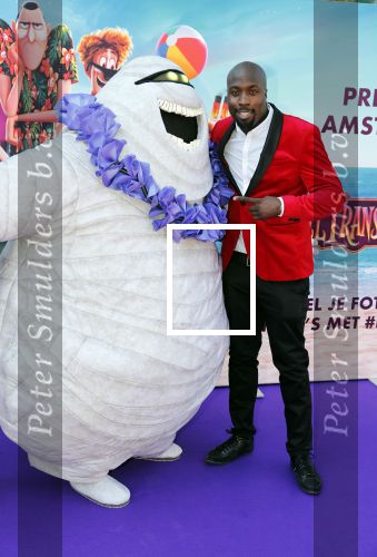 Amsterdam 15 juli 2018
De feestelijke Nederlandse premiÃ¨re van 
HOTEL TRANSSYLVANIÃ‹ 3 in PathÃ© Arena te Amsterdam. De Nederlandse stemacteurs Charly Luske, Fernando Halman, Ferry Doedens, Ilse Warringa, Tony Neef zijn aanwezig .