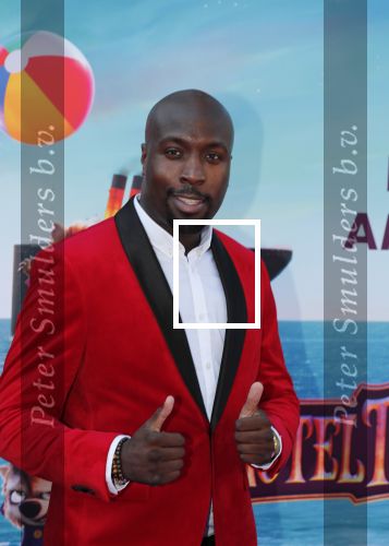 Amsterdam 15 juli 2018
De feestelijke Nederlandse premiÃ¨re van 
HOTEL TRANSSYLVANIÃ‹ 3 in PathÃ© Arena te Amsterdam. De Nederlandse stemacteurs Charly Luske, Fernando Halman, Ferry Doedens, Ilse Warringa, Tony Neef zijn aanwezig .