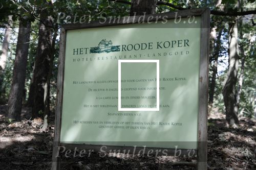 Ermelo 30 juli 2018
De Thaise prinses â€¦ viert vakantie in Nederland en slaapt met haar beveiliging in hotel de Roode Koper. Ze arriveerde met CD wagens.