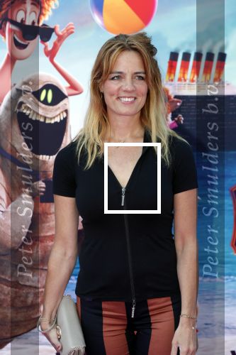Amsterdam 15 juli 2018
De feestelijke Nederlandse premiÃ¨re van 
HOTEL TRANSSYLVANIÃ‹ 3 in PathÃ© Arena te Amsterdam. De Nederlandse stemacteurs Charly Luske, Fernando Halman, Ferry Doedens, Ilse Warringa, Tony Neef zijn aanwezig .