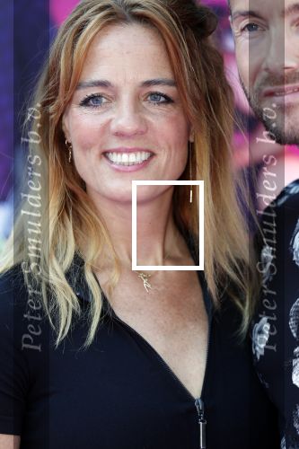 Amsterdam 15 juli 2018
De feestelijke Nederlandse premiÃ¨re van 
HOTEL TRANSSYLVANIÃ‹ 3 in PathÃ© Arena te Amsterdam. De Nederlandse stemacteurs Charly Luske, Fernando Halman, Ferry Doedens, Ilse Warringa, Tony Neef zijn aanwezig .