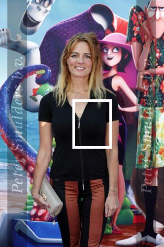Amsterdam 15 juli 2018
De feestelijke Nederlandse premiÃ¨re van 
HOTEL TRANSSYLVANIÃ‹ 3 in PathÃ© Arena te Amsterdam. De Nederlandse stemacteurs Charly Luske, Fernando Halman, Ferry Doedens, Ilse Warringa, Tony Neef zijn aanwezig .