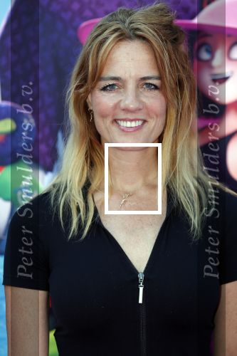 Amsterdam 15 juli 2018
De feestelijke Nederlandse premiÃ¨re van 
HOTEL TRANSSYLVANIÃ‹ 3 in PathÃ© Arena te Amsterdam. De Nederlandse stemacteurs Charly Luske, Fernando Halman, Ferry Doedens, Ilse Warringa, Tony Neef zijn aanwezig .