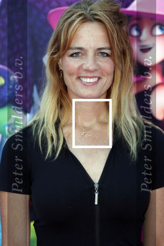 Amsterdam 15 juli 2018
De feestelijke Nederlandse premiÃ¨re van 
HOTEL TRANSSYLVANIÃ‹ 3 in PathÃ© Arena te Amsterdam. De Nederlandse stemacteurs Charly Luske, Fernando Halman, Ferry Doedens, Ilse Warringa, Tony Neef zijn aanwezig .