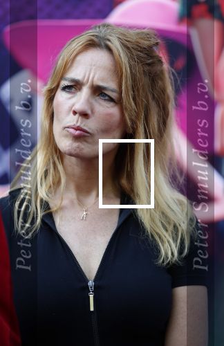 Amsterdam 15 juli 2018
De feestelijke Nederlandse premiÃ¨re van 
HOTEL TRANSSYLVANIÃ‹ 3 in PathÃ© Arena te Amsterdam. De Nederlandse stemacteurs Charly Luske, Fernando Halman, Ferry Doedens, Ilse Warringa, Tony Neef zijn aanwezig .