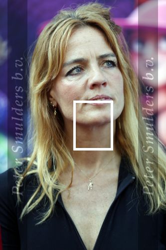 Amsterdam 15 juli 2018
De feestelijke Nederlandse premiÃ¨re van 
HOTEL TRANSSYLVANIÃ‹ 3 in PathÃ© Arena te Amsterdam. De Nederlandse stemacteurs Charly Luske, Fernando Halman, Ferry Doedens, Ilse Warringa, Tony Neef zijn aanwezig .