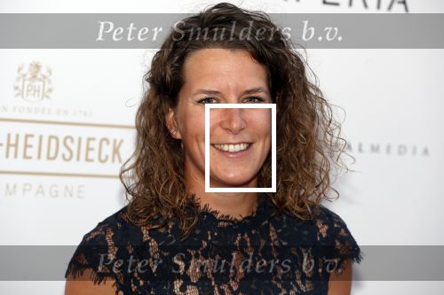 Amsterdam 10 juli 2018
Uitreiking leading ladies awards in hotel the Grand. Ireen Wust met partner Letitia de Jong