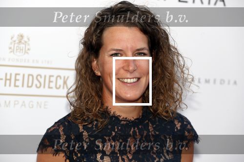 Amsterdam 10 juli 2018
Uitreiking leading ladies awards in hotel the Grand. Ireen Wust met partner Letitia de Jong